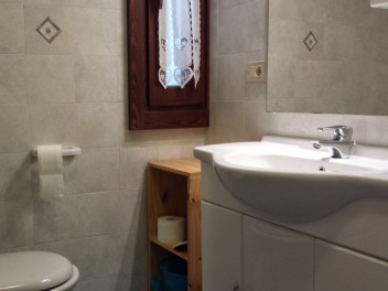 Salle de bains appartement vacances Courmayeur