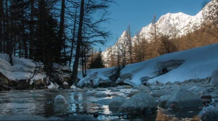 Winter Val Ferret